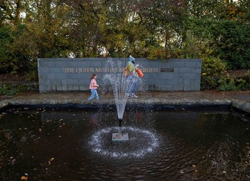 Image 476834816