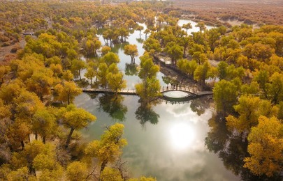 Image 477198461