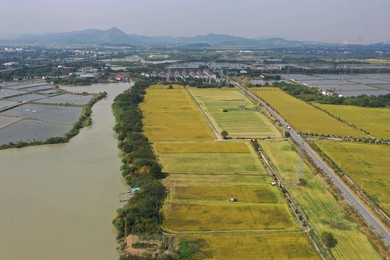 Image 477445745