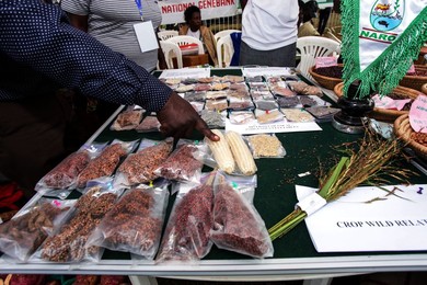 UGANDA HOIMA DISTRICT WORLD FOOD DAY