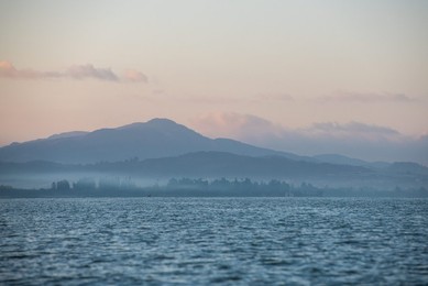 Image 478621706