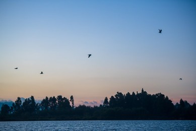 Image 478621713