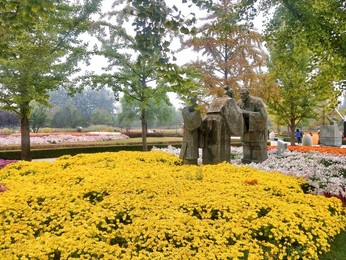 Image 478725829