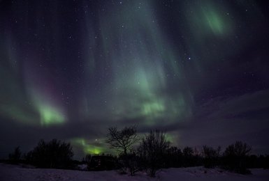 Image 479416088