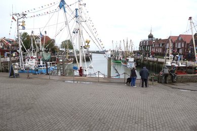 Image 479625889