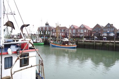 Image 479625899