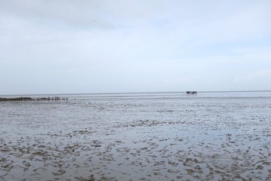 Image 479625984