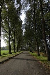 Image 479625990
