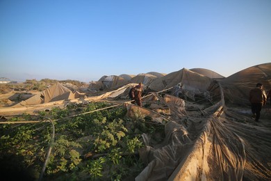 Image 480692868