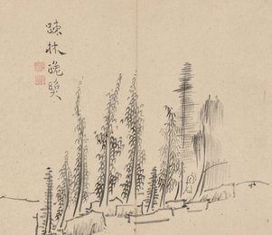 Image 482440477