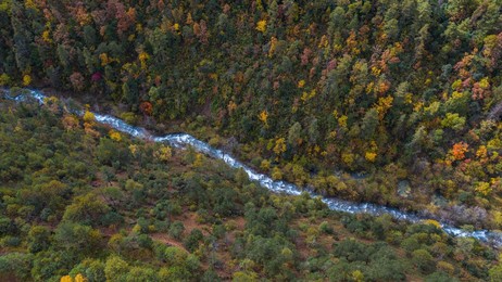 Image 482483165