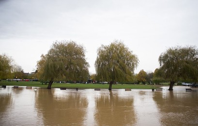 Image 483077327