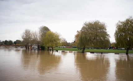 Image 483077334