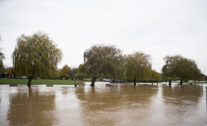 Image 483077344