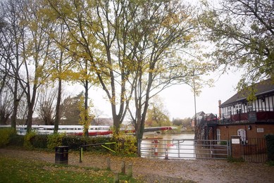 Image 483078342
