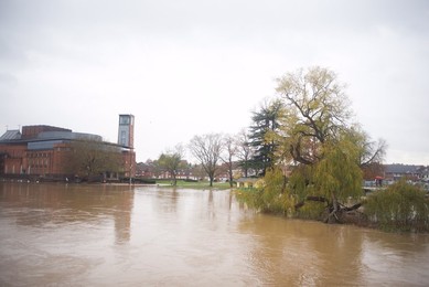 Image 483078441