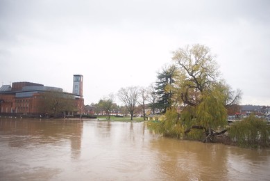 Image 483078450