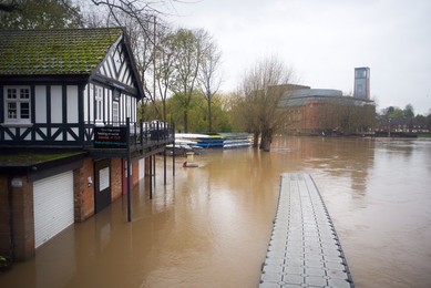 Image 483078461