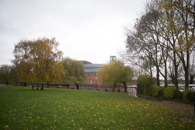 Image 483078469