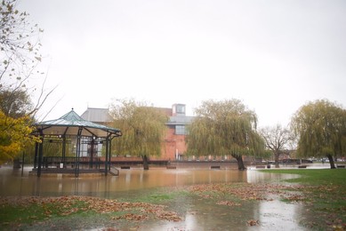 Image 483078482
