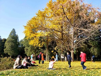 Image 483721351