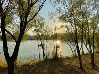 Image 483721395
