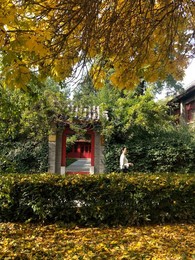 Image 483721442