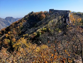 Image 483721463