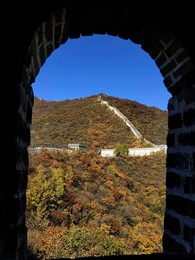 Image 483721484