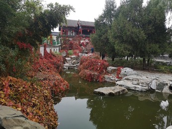 Image 483721544