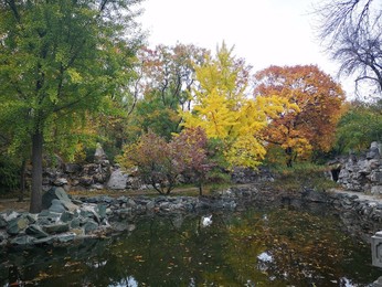 Image 483721552