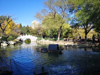 Image 483721558
