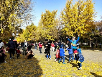 Image 483721729