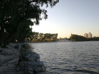 Image 483722729