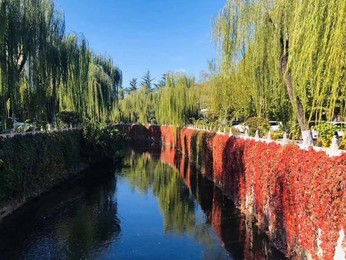 Image 483722773