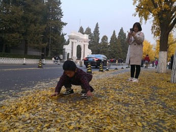 Image 483722800