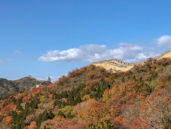 Image 483722821