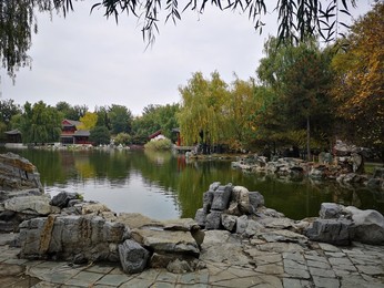 Image 483722826