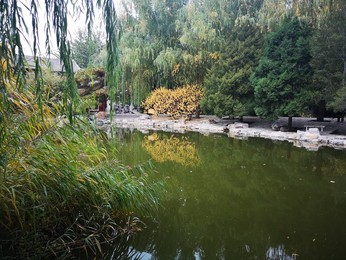 Image 483722832