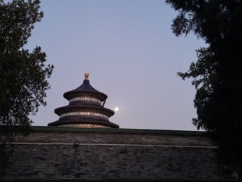 Image 483722872