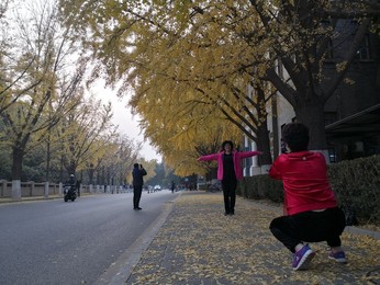 Image 483723881