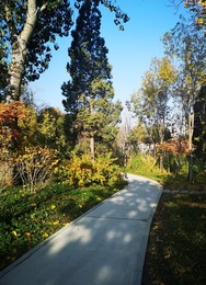 Image 483723896