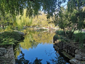 Image 483723905