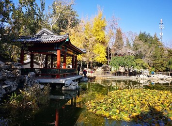 Image 483723911