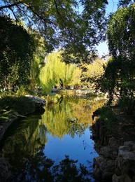 Image 483723952