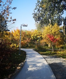 Image 483723957