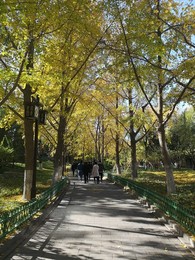 Image 483723988
