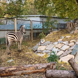 Image 483723997