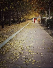Image 483724041