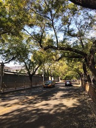 Image 483724052